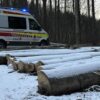 Tödlicher Forstunfall: Mann unter Baum eingeklemmt