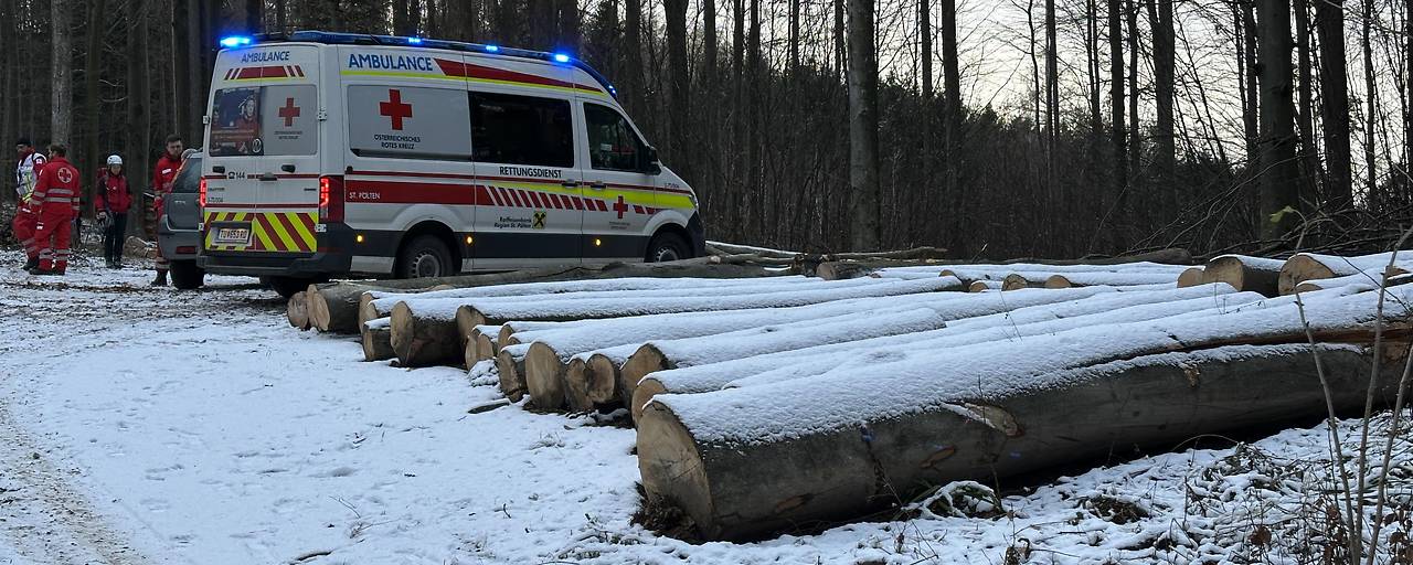 Tödlicher Forstunfall: Mann unter Baum eingeklemmt